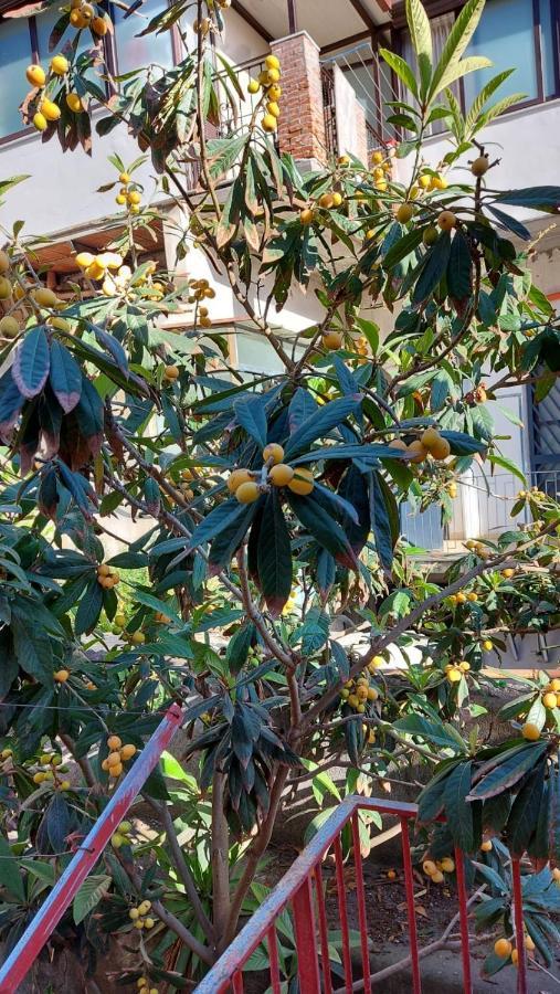 Casa Vacanze Il Nespolo Κατάνια Εξωτερικό φωτογραφία